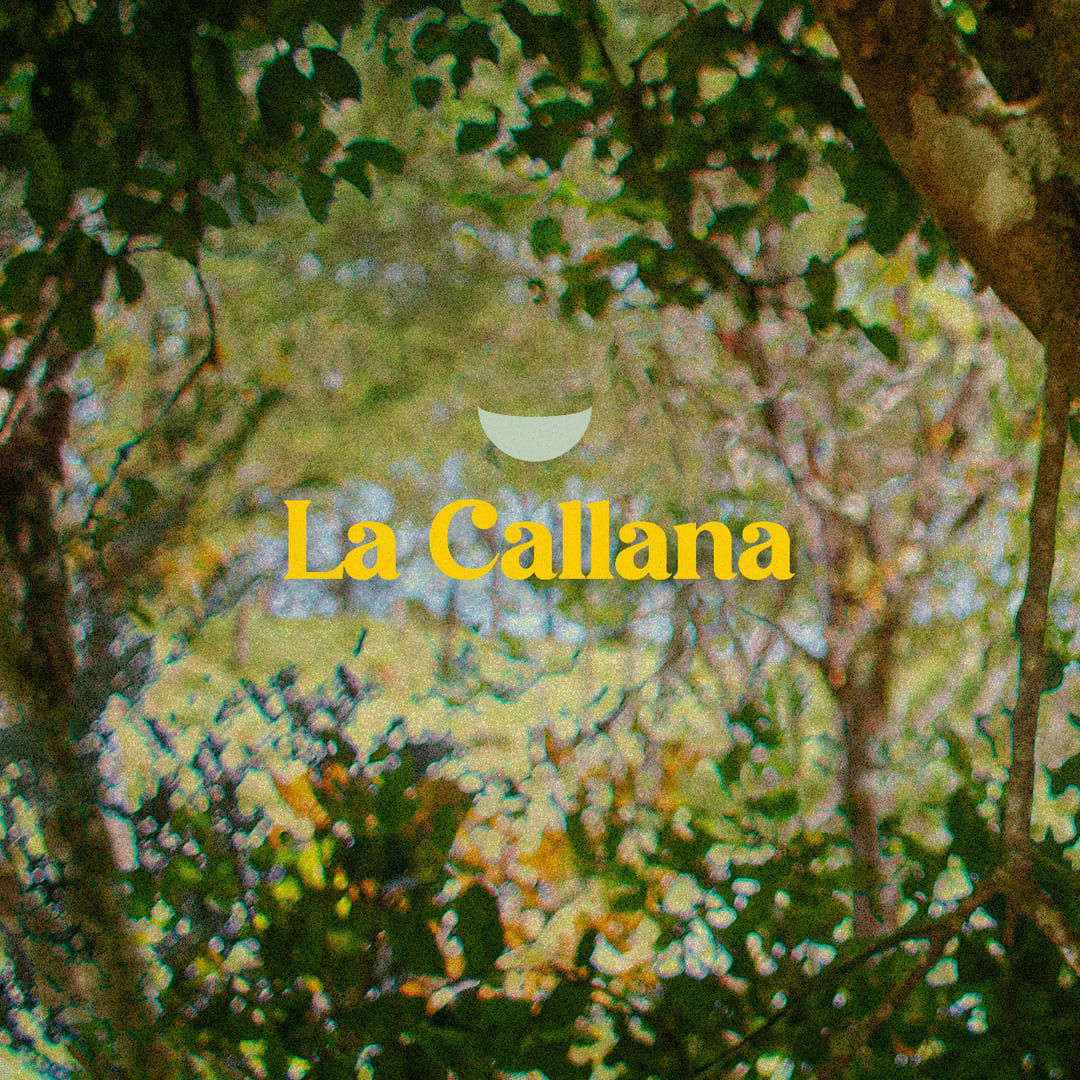 Cover Art canción La Callana